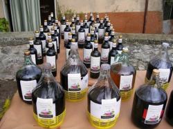 Esposizione dei vini novelli offerti dai produttori locali